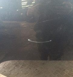 Porte arriere droit OPEL INSIGNIA 1 Photo n°3