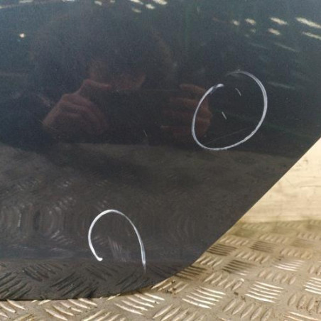 Porte arriere gauche OPEL INSIGNIA 1