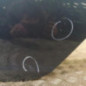 Porte arriere gauche OPEL INSIGNIA 1