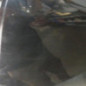 Porte arriere gauche PEUGEOT 208 1