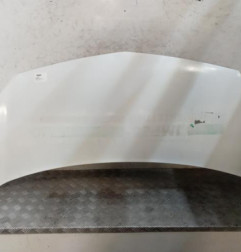 Capot RENAULT KANGOO 2 Photo n°1