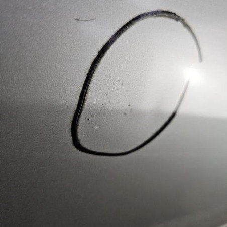 Porte arriere gauche PEUGEOT 306