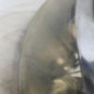 Optique avant principal gauche (feux)(phare) FIAT STILO