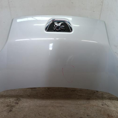 Capot PEUGEOT BIPPER Photo n°1