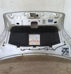 Capot PEUGEOT BIPPER Photo n°3