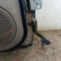 Porte arriere gauche CITROEN XSARA PICASSO