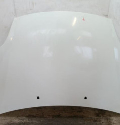 Capot FIAT BRAVO 2 Photo n°1