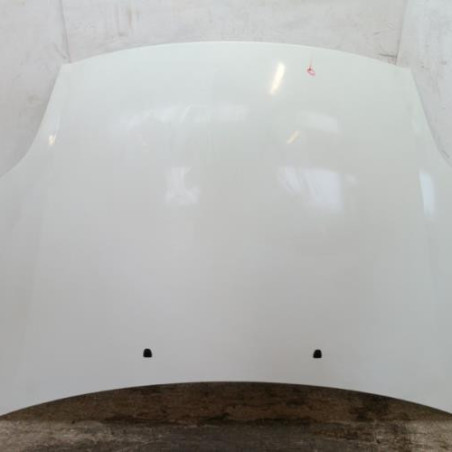 Capot FIAT BRAVO 2 Photo n°1
