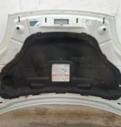 Capot FIAT BRAVO 2 Photo n°3