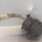 Vase de lave glace SKODA FABIA 3