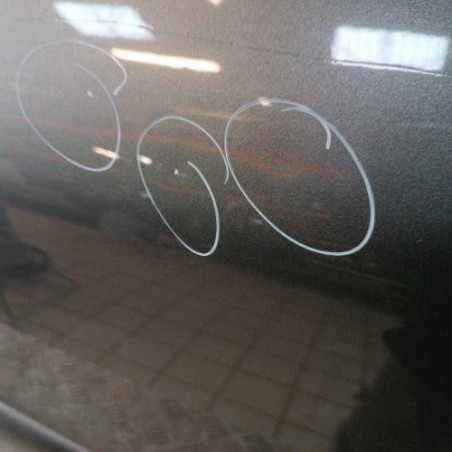 Porte arriere gauche PEUGEOT 206+