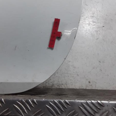 Porte avant gauche RENAULT CLIO 3