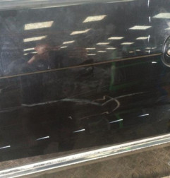 Porte avant gauche KIA CARNIVAL 1 Photo n°6