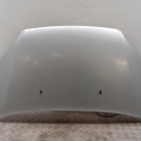 Capot FORD C-MAX 1 Photo n°1