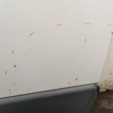 Porte avant gauche RENAULT MASTER 2