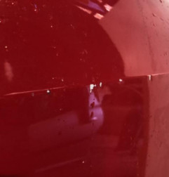 Porte avant droit SEAT IBIZA 4 Photo n°4