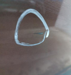 Porte avant gauche RENAULT GRAND SCENIC 3 Photo n°3