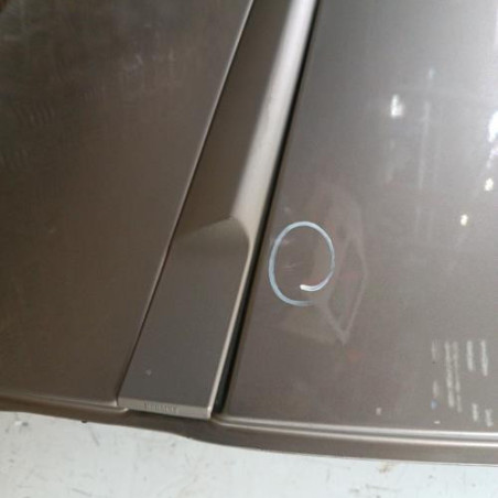 Porte arriere droit RENAULT CLIO 3