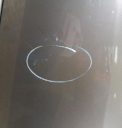 Porte arriere droit RENAULT CLIO 3 Photo n°3