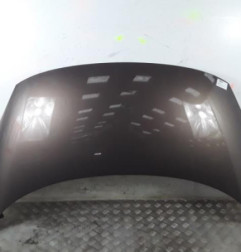 Capot RENAULT SCENIC 3 Photo n°1
