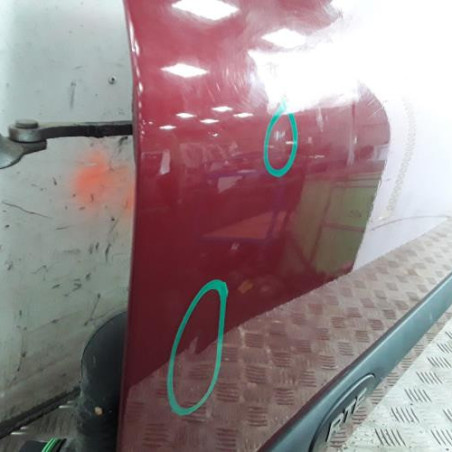 Porte avant gauche RENAULT CLIO 2