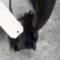Serrure avant droit RENAULT SCENIC 3