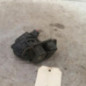 Serrure de hayon TOYOTA AURIS 1