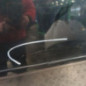 Porte avant gauche FORD C-MAX 1