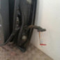 Porte avant gauche FORD C-MAX 1