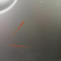 Porte avant droit PEUGEOT EXPERT 2
