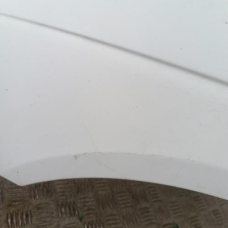 Aile avant gauche RENAULT SCENIC 1