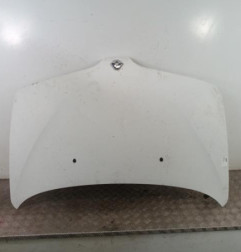Capot RENAULT SCENIC 1 Photo n°1