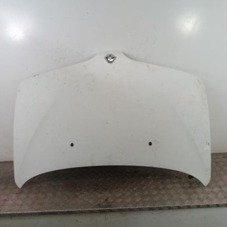 Capot RENAULT SCENIC 1 Photo n°1