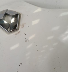 Capot RENAULT SCENIC 1