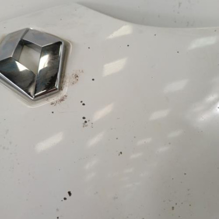 Capot RENAULT SCENIC 1