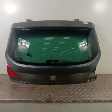 Malle/Hayon arriere PEUGEOT 3008 1 Photo n°1