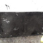 Radiateur eau CITROEN BERLINGO 1