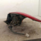 Feu arriere principal gauche (feux) HYUNDAI I 30 2