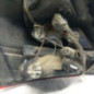 Feu arriere principal droit (feux) FORD FOCUS 3