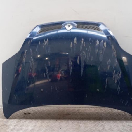 Capot RENAULT SCENIC 1 Photo n°1