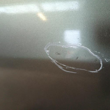 Porte avant gauche RENAULT GRAND SCENIC 2