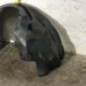 Pare boue avant droit FORD TRANSIT CONNECT 1