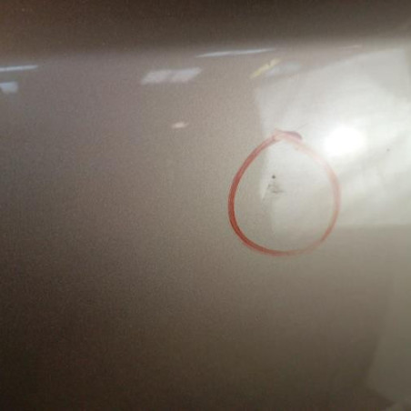 Porte arriere gauche NISSAN NOTE 1