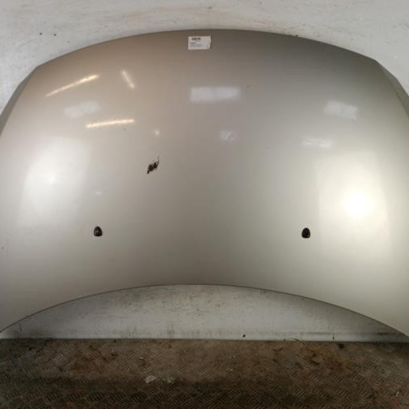 Capot PEUGEOT 307 Capot PEUGEOT 307