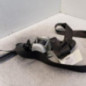 Ceinture avant gauche BMW X1 E84