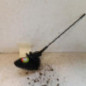 Antenne RENAULT MEGANE 3