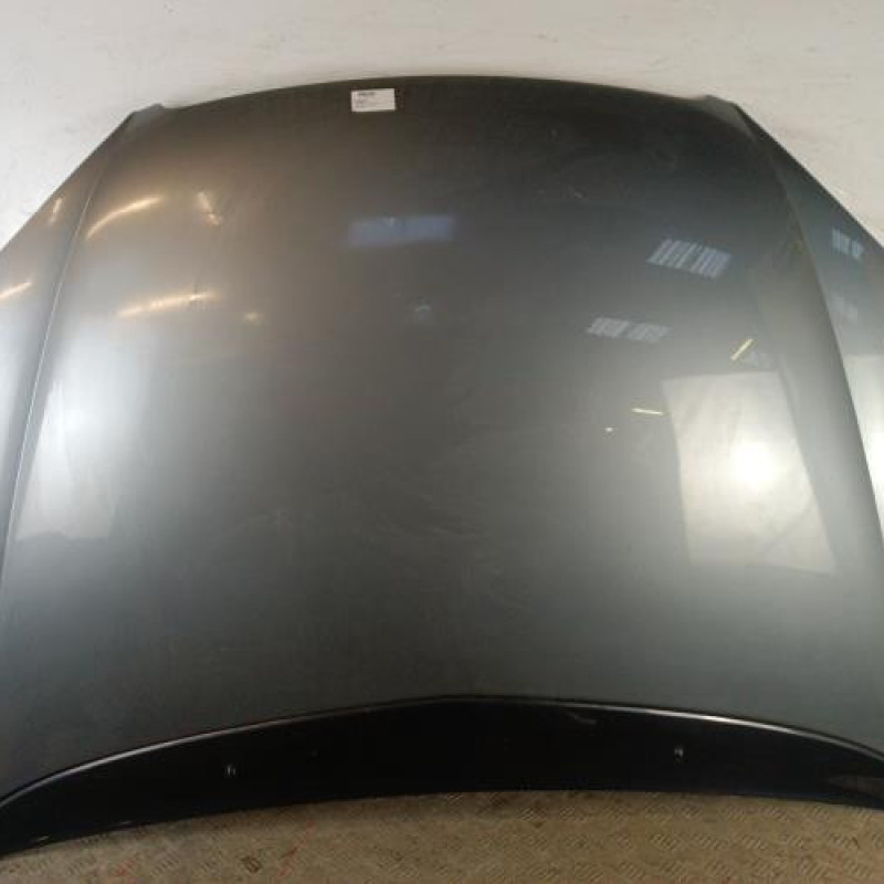 Capot CITROEN C5 1 Capot CITROEN C5 1
