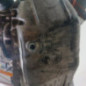Moteur RENAULT GRAND MODUS