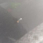 Porte avant gauche MERCEDES CLASSE A 169