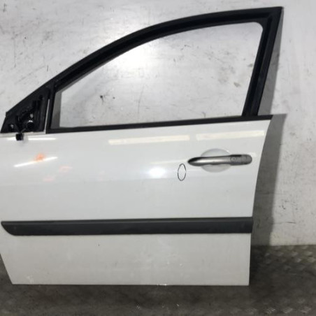 Porte avant gauche RENAULT MEGANE 2 Photo n°1